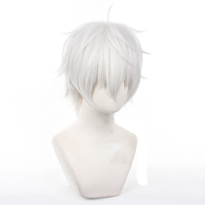 Parrucche Cosplay Anime Seishi - Cosplay Anime White Hair recensione e prezzo